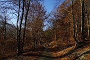 79 Scendiamo a Fuipiano